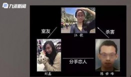 刘鑫最近爆料新闻报道视频,揭秘近期热点新闻背后的真相