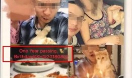 吃瓜前任室友是真的吗免费阅读,吃瓜前任室友的真实故事，免费阅读带你一探究竟