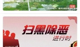 东莞爆料最新新闻消息视频,视频揭露惊人真相，事件详情曝光