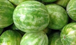 高州网红吃瓜群微信,揭秘网络红人的幕后生活